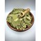 100% Common Birch Loose Leaf Herbal Tea - Betula Pendula - Superior Quality Herbs&Spices -