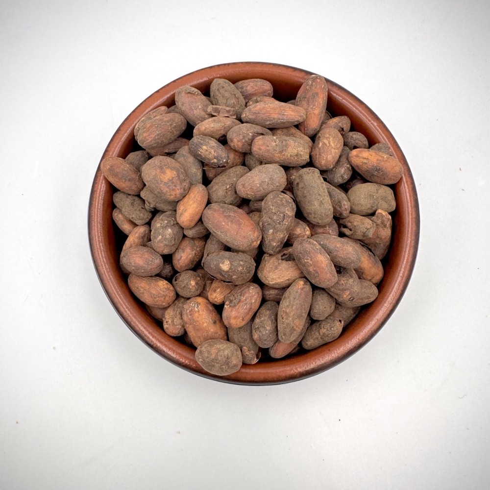 Raw Criollo Cacao Beans ~ Theobroma Cacao ~ Superior Quality 