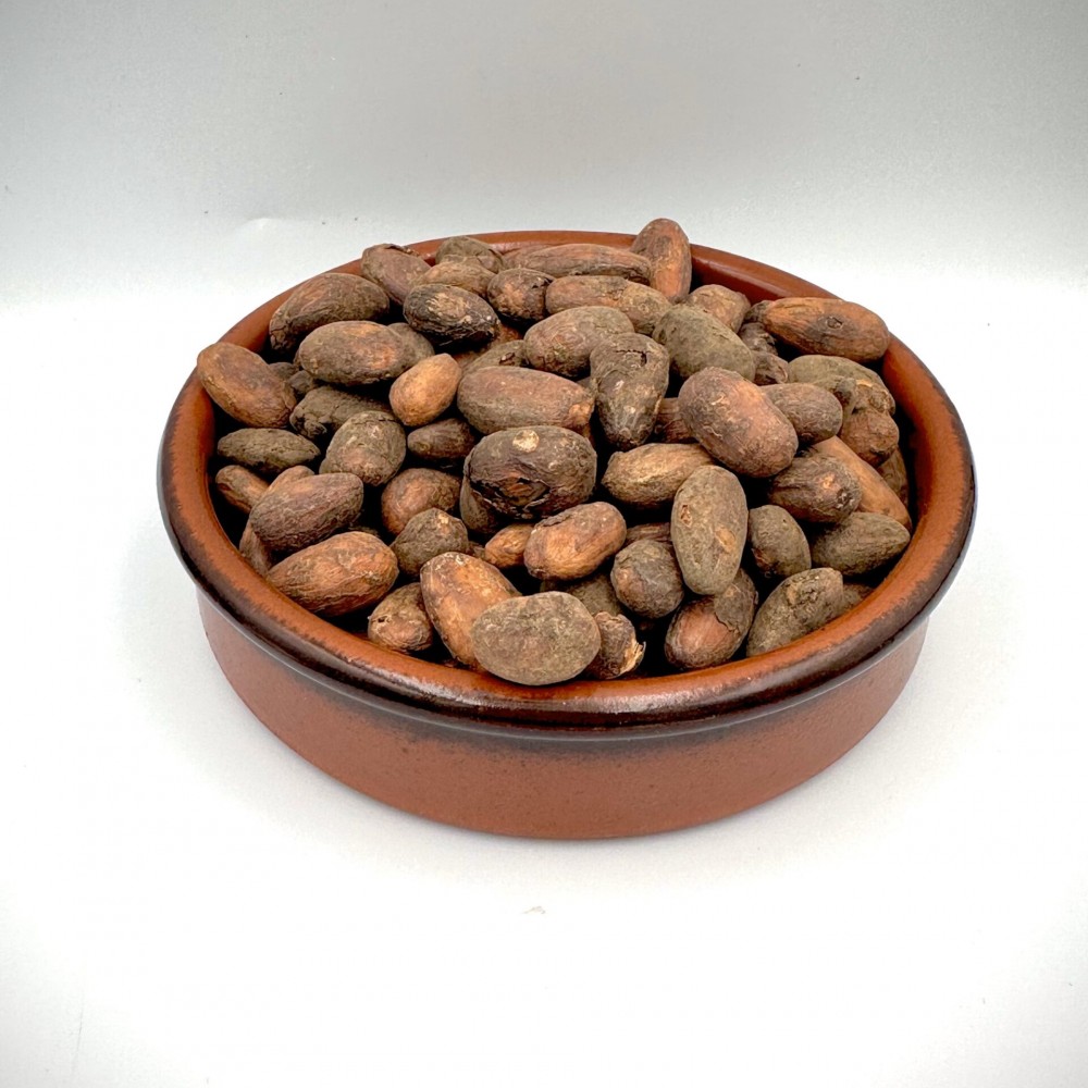 Raw Criollo Cacao Beans ~ Theobroma Cacao ~ Superior Quality 