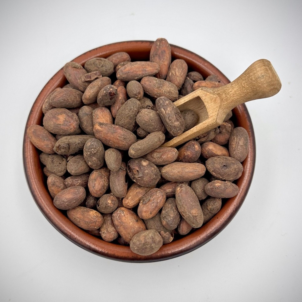 Raw Criollo Cacao Beans ~ Theobroma Cacao ~ Superior Quality 