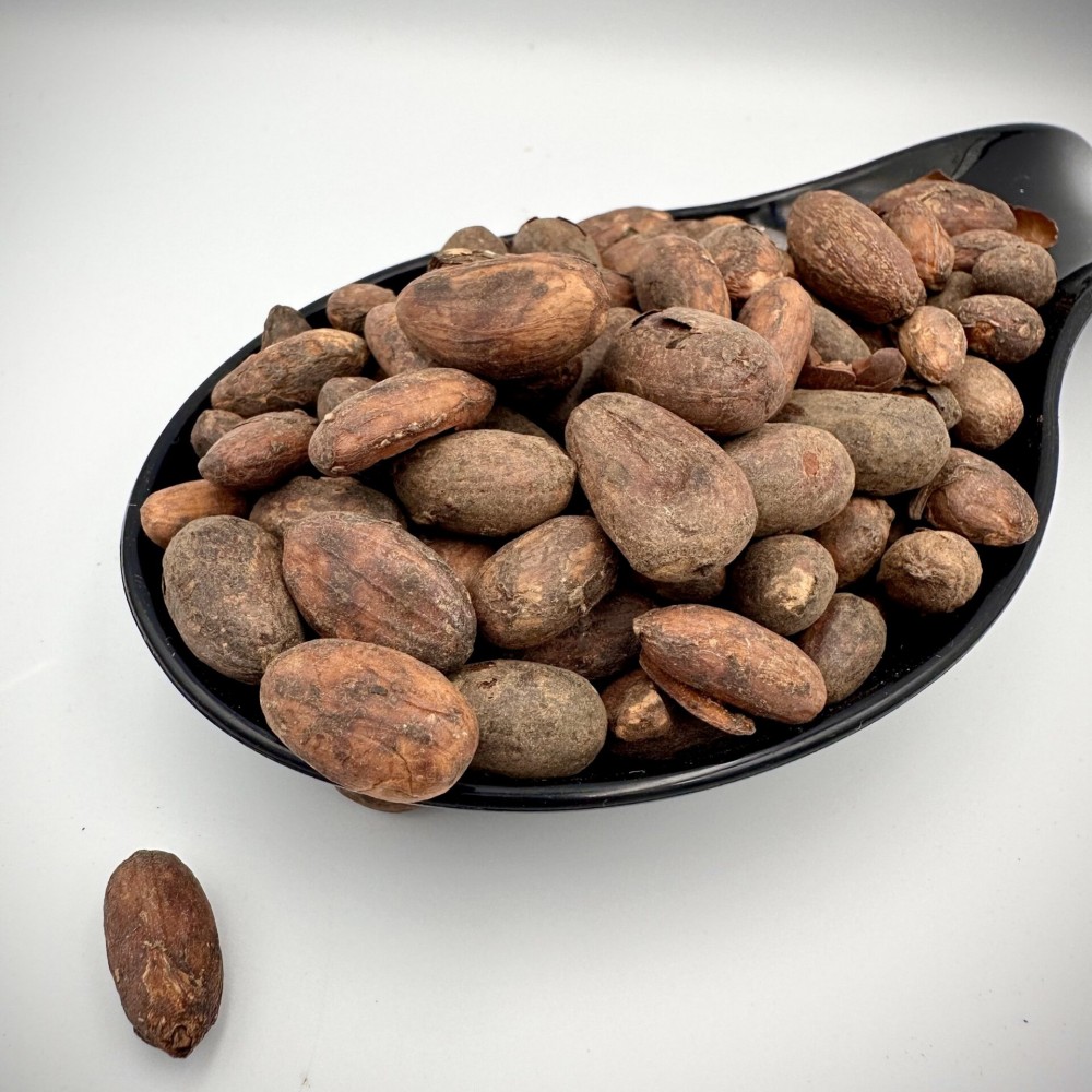 Raw Criollo Cacao Beans ~ Theobroma Cacao ~ Superior Quality 