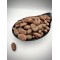 Raw Criollo Cacao Beans ~ Theobroma Cacao ~ Superior Quality 