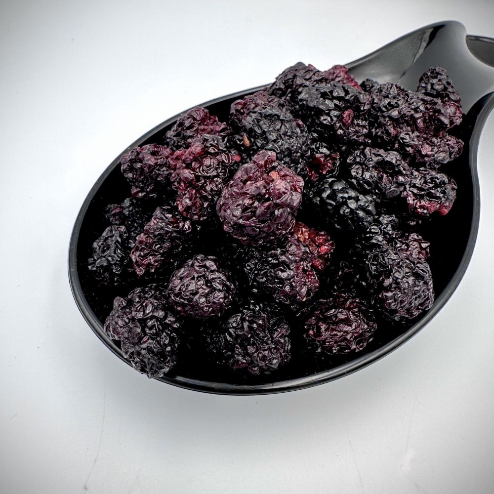 Dried Osmotic Blackberries  - Rubus - Superior Quality Superfood&Dried Fruits - No Sugar Added