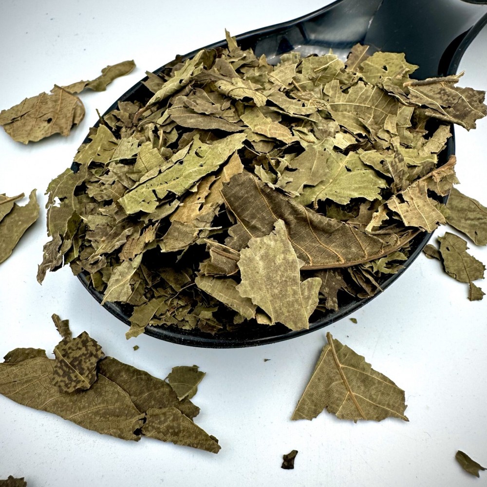 English Ivy Dried Loose Leaf - Hedera Helix - Superior Quality Herbs&Leaves