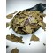 English Ivy Dried Loose Leaf - Hedera Helix - Superior Quality Herbs&Leaves