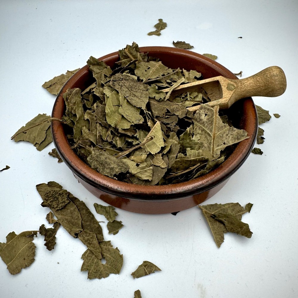 English Ivy Dried Loose Leaf - Hedera Helix - Superior Quality Herbs&Leaves