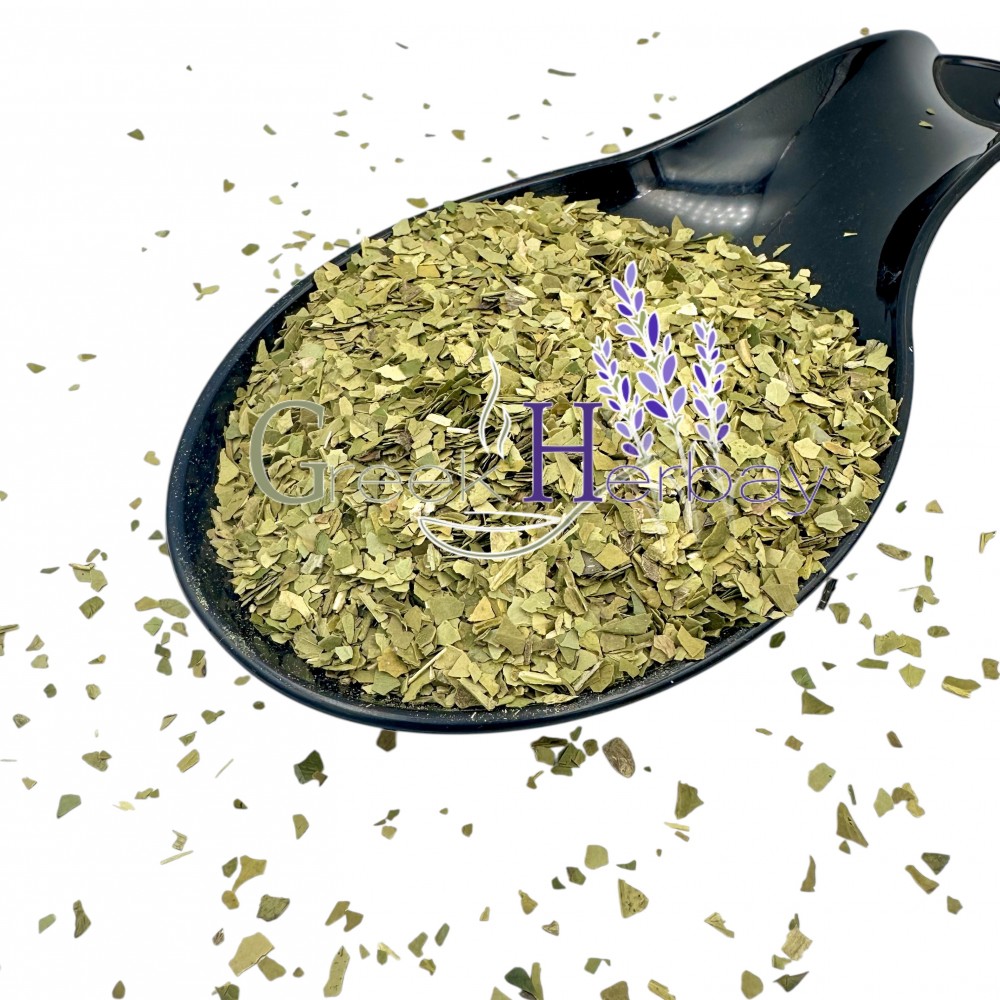 Brazilian Yerba Mate Tea ~ Ilex paraguariensis ~ Superior Quality 